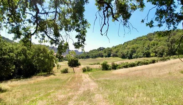 $4,750,000 | 23785 McKean Road, San Jose, CA 95141