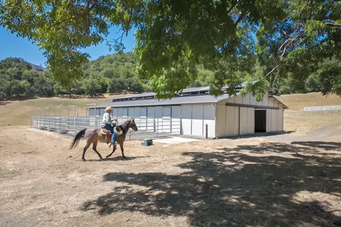 a view of back yard of the house