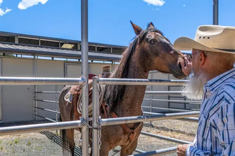 a view of hallway with wooden floor