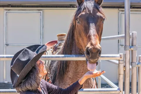 a house with a outdoor space