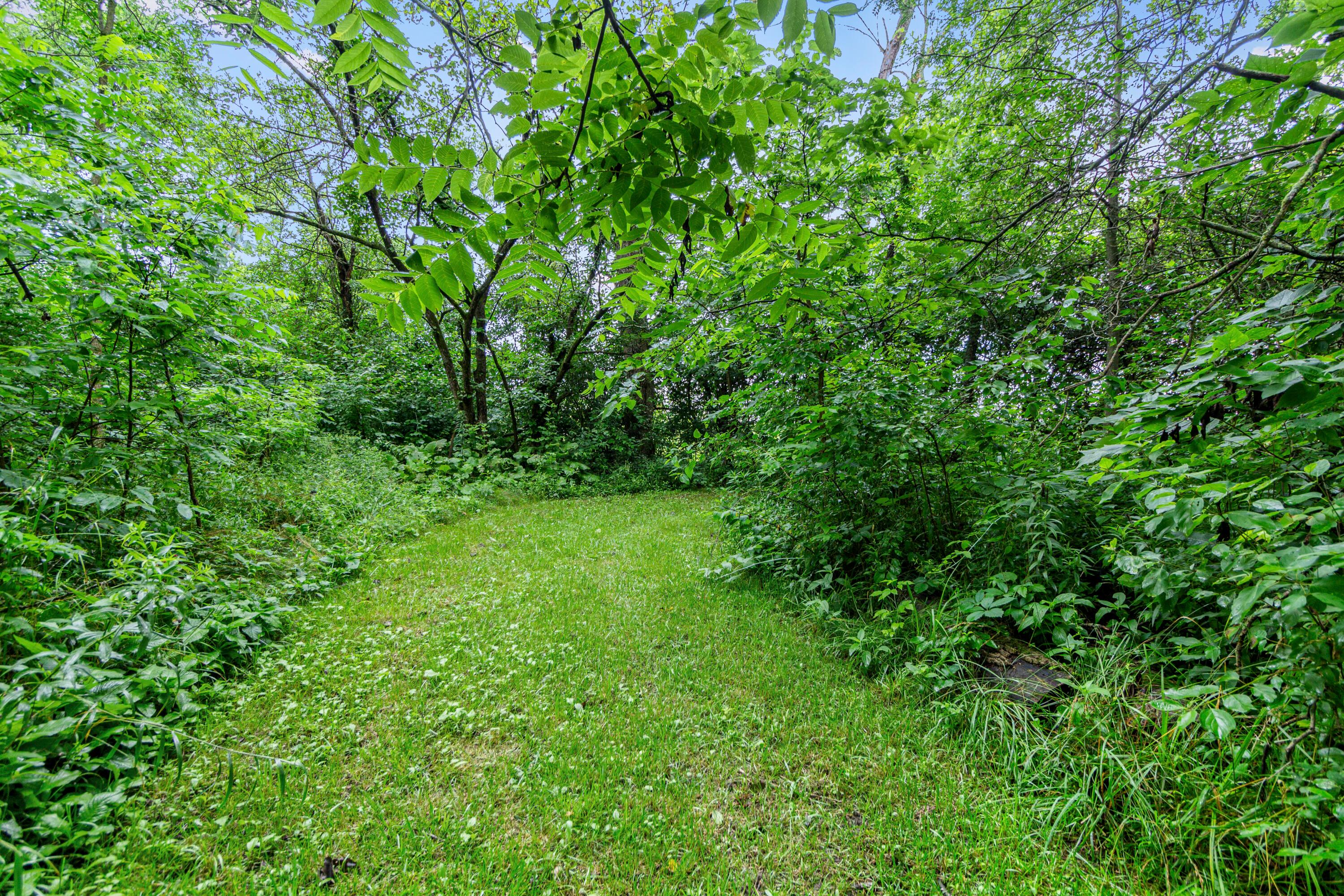 7673 Opossum Run Road London, OH 43140 - Photo 80 of 83 7673 Opossum Run Outdoor (26)