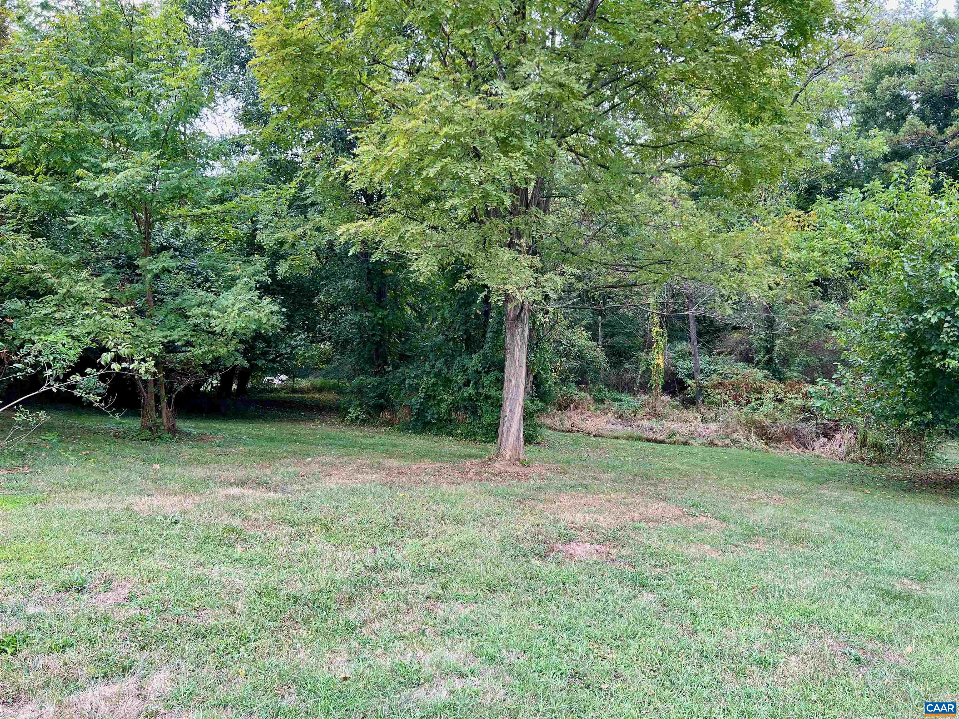 5546 Three Notched Road Crozet, VA 22932 - Photo 4 of 4 a view of a field with trees in the background