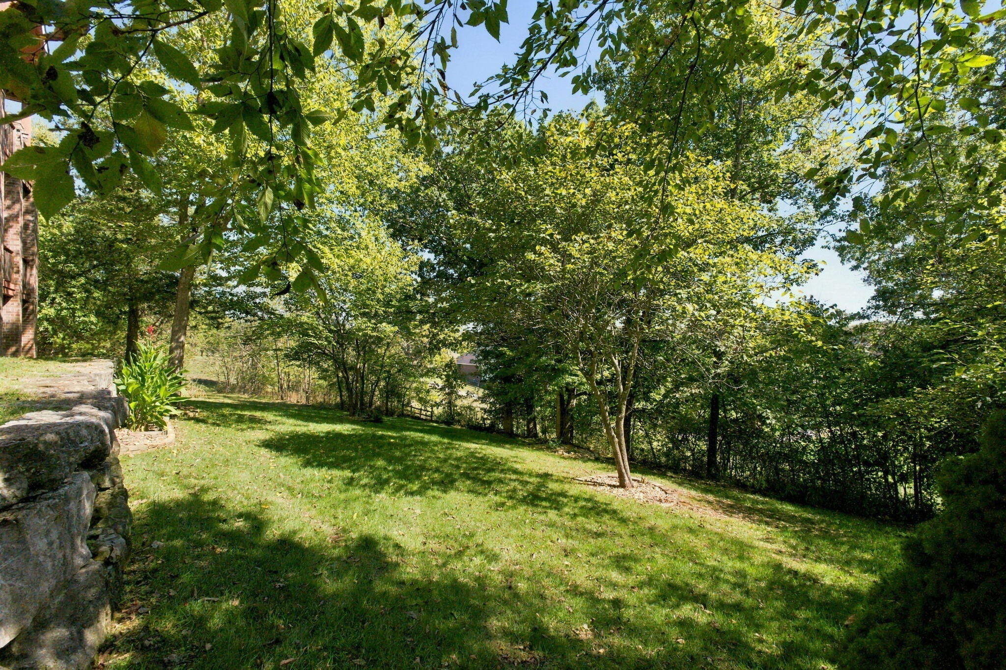 3312 West Bluffview Street Springfield, MO 65810 - Photo 56 of 68 56-web-or-mls-20261006-20261006-DSC00067