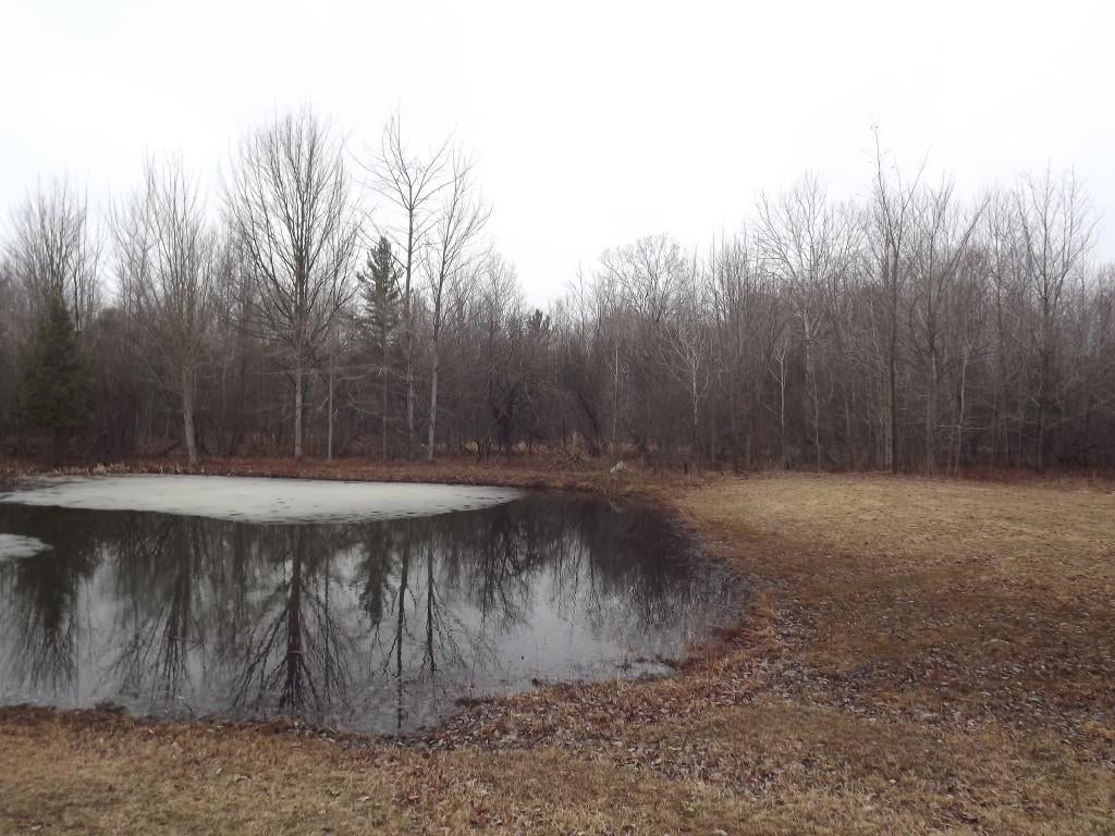 3281 West Birchwood Road Cheboygan, MI 49721 - Photo 31 of 66 Gallery Image 31