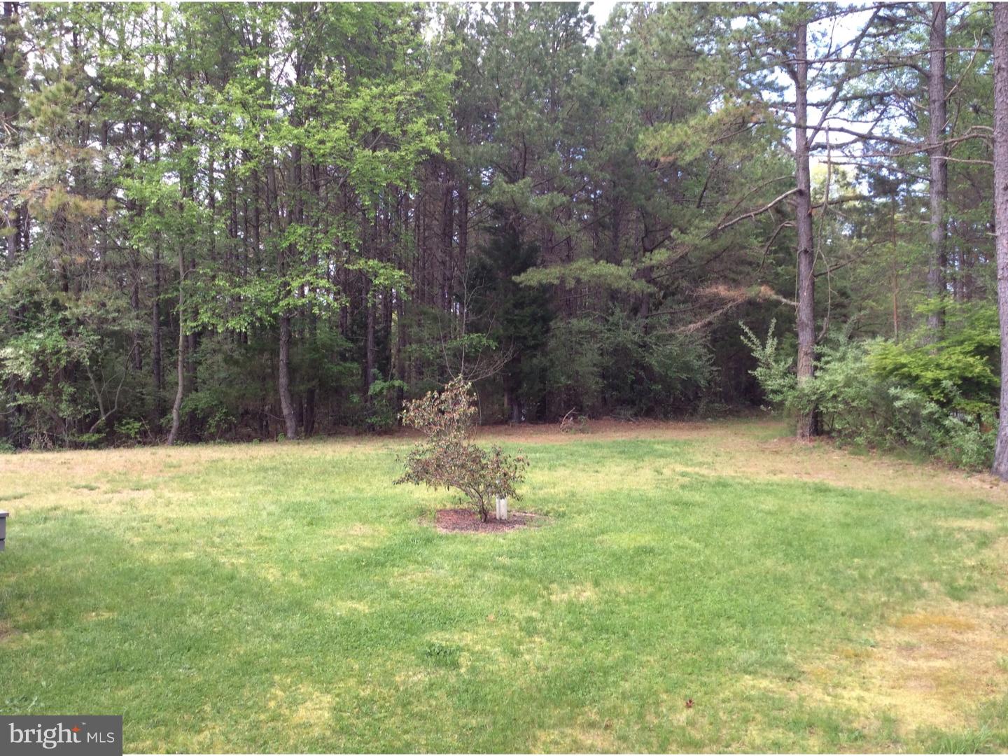 4104 Jackson Road Williamstown, NJ 08094 - Photo 22 of 25 Gallery Image 22