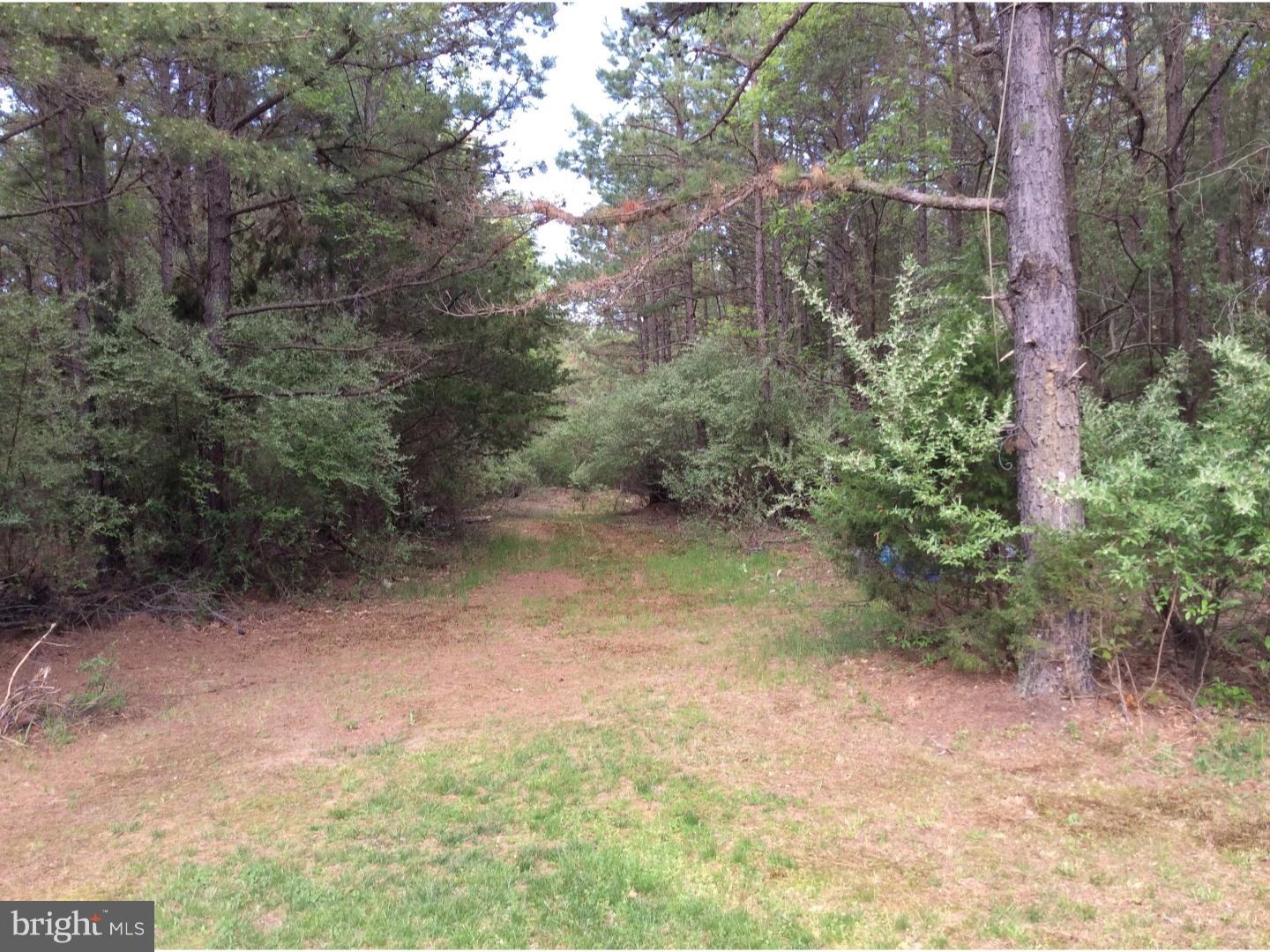 4104 Jackson Road Williamstown, NJ 08094 - Photo 23 of 25 Gallery Image 23