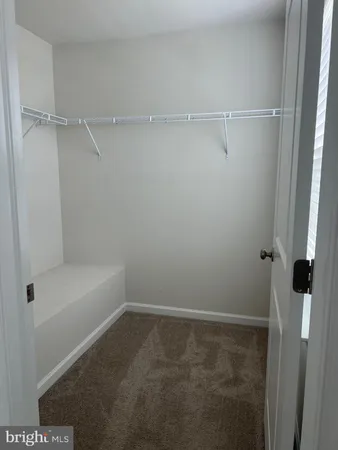 a bathroom with a shower and a toilet