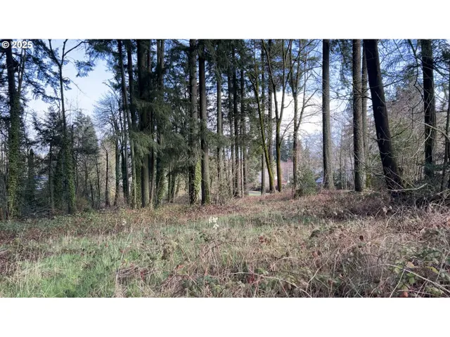 a black and white photo of a house