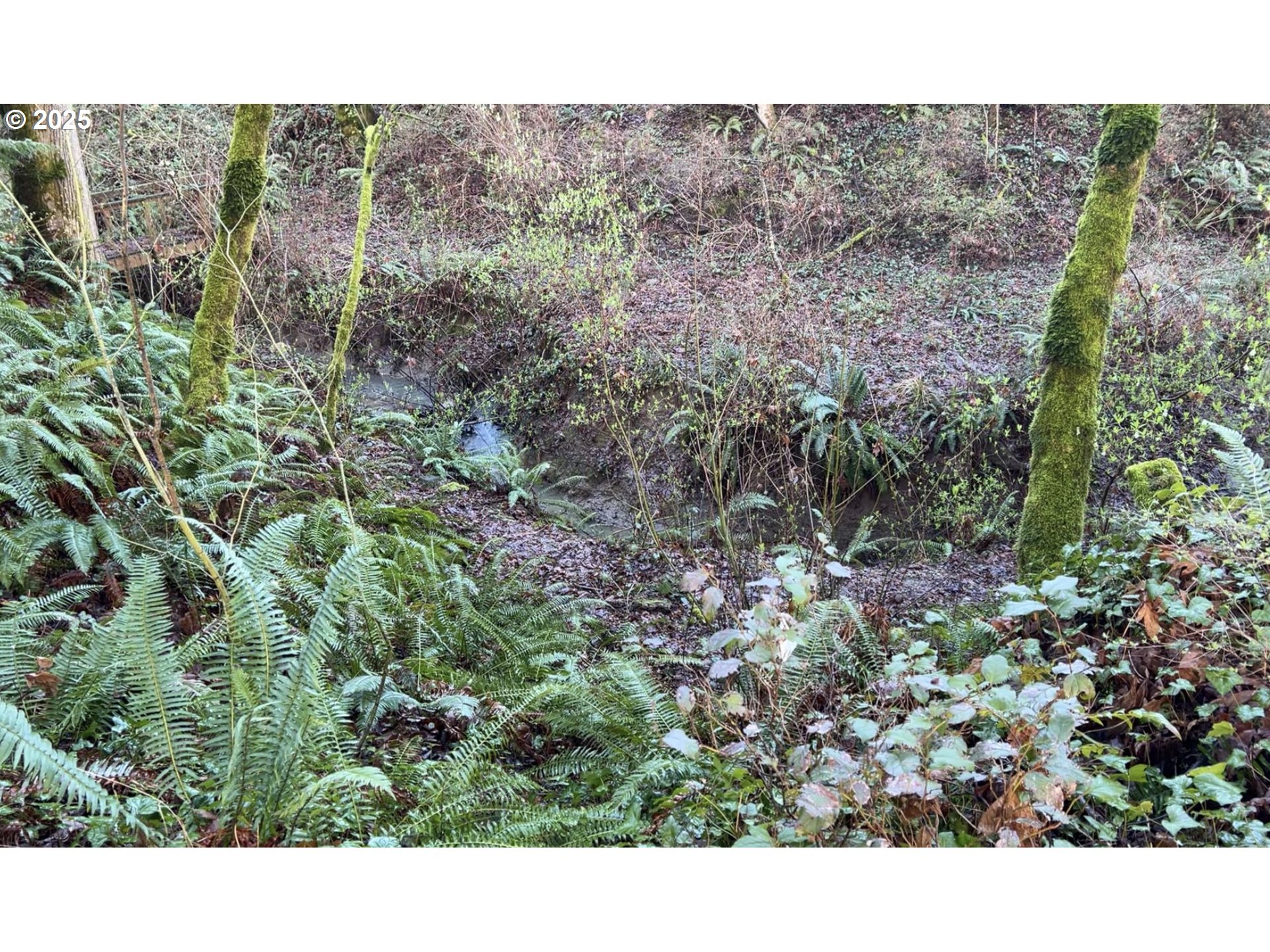 0 Southwest Walnut Street Tigard, OR 97223 - Photo 12 of 16 a view of a bunch of trees and bushes