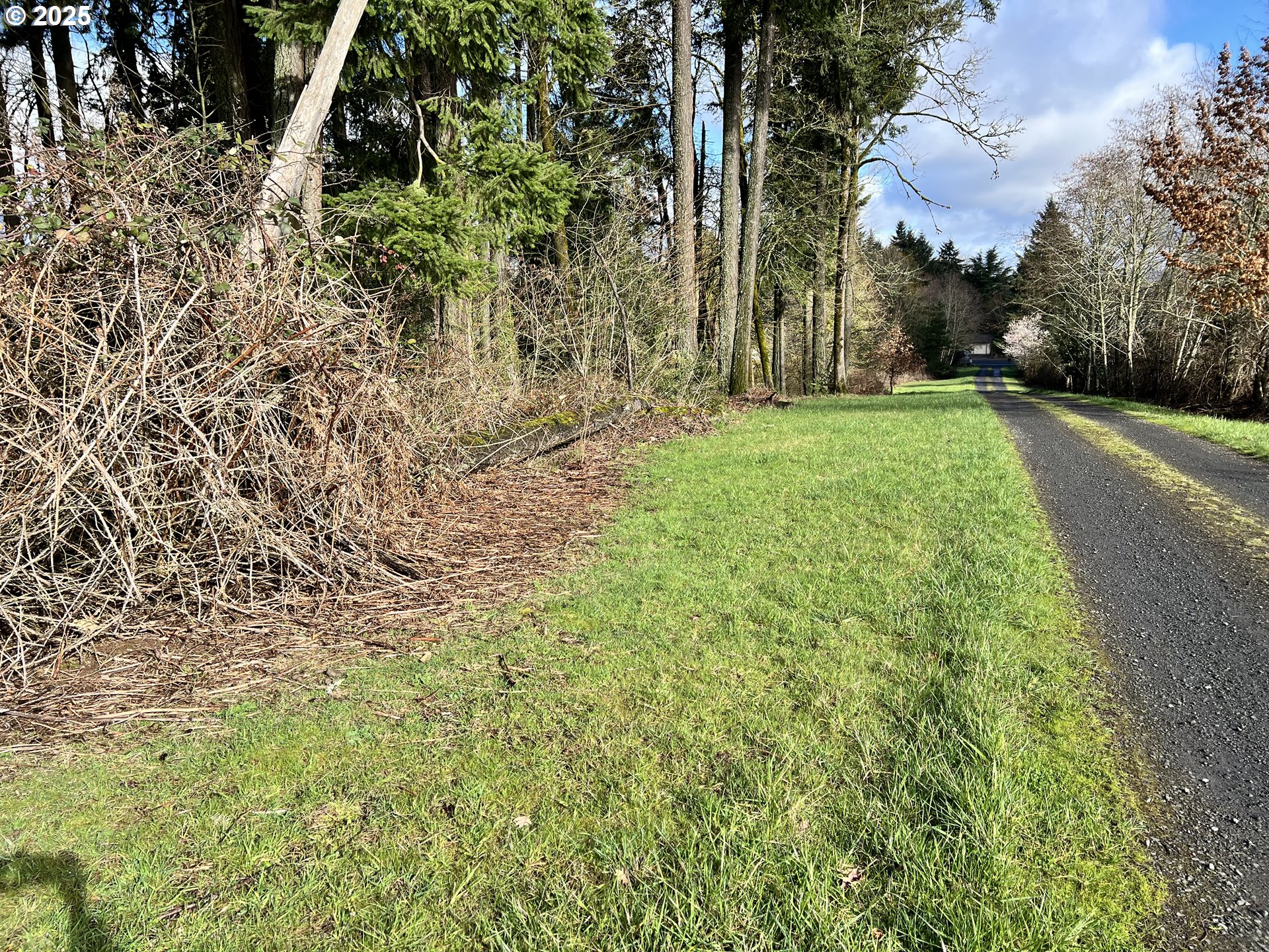 0 Southwest Walnut Street Tigard, OR 97223 - Photo 15 of 16 a view of a yard with plants and trees