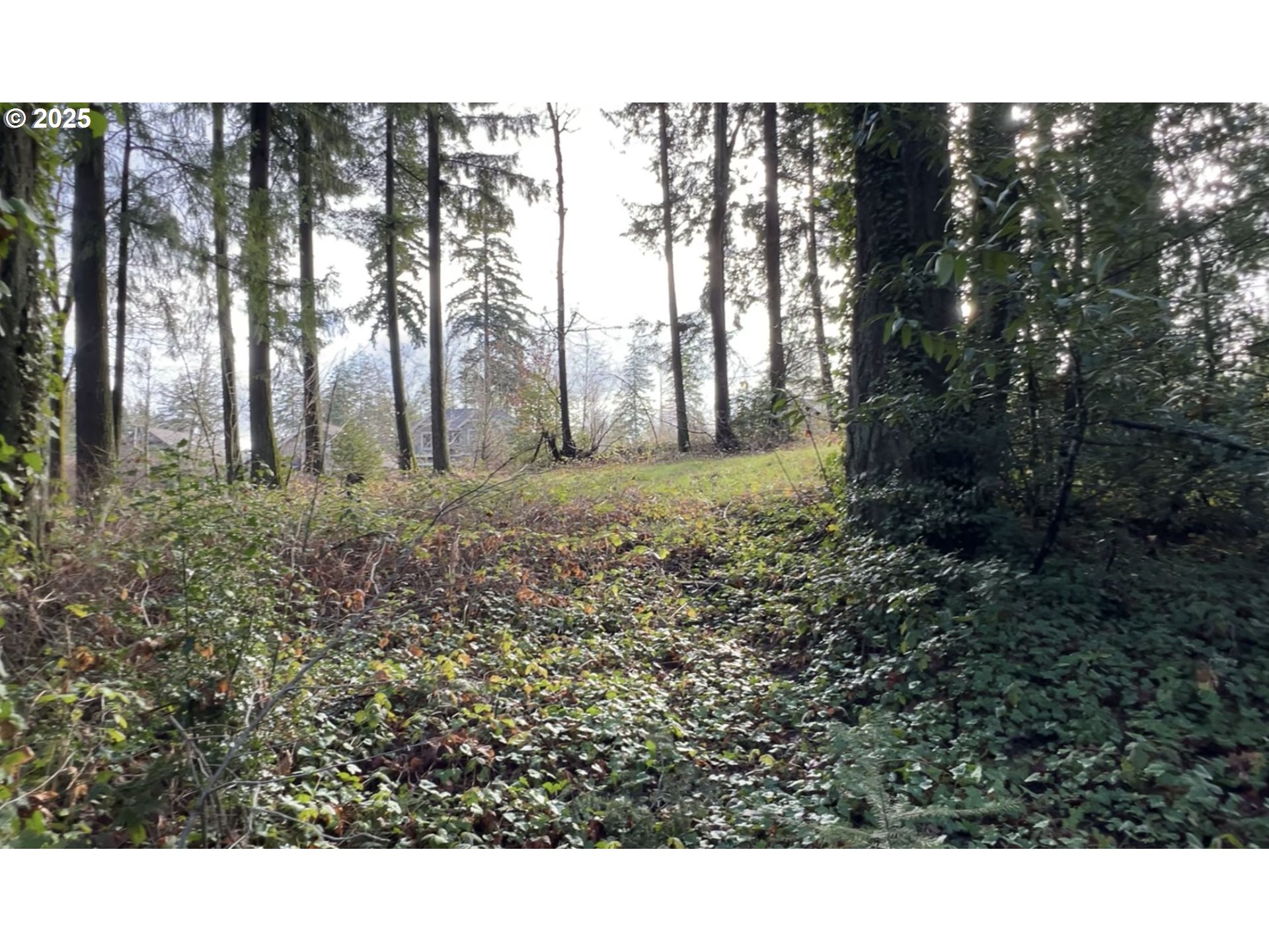 0 Southwest Walnut Street Tigard, OR 97223 - Photo 4 of 16