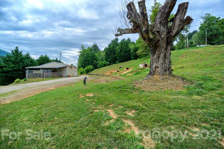 1943 Beaverdam Road Canton, NC 28716 - Photo 22 of 31 a garden with trees in front of it
