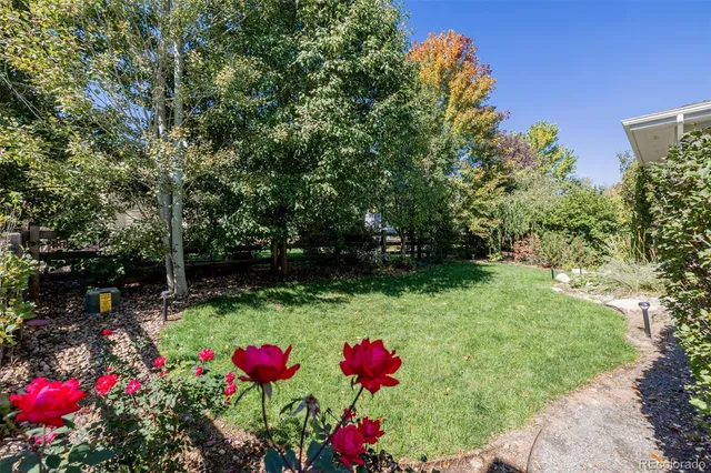 a balcony with furniture and a potted plant