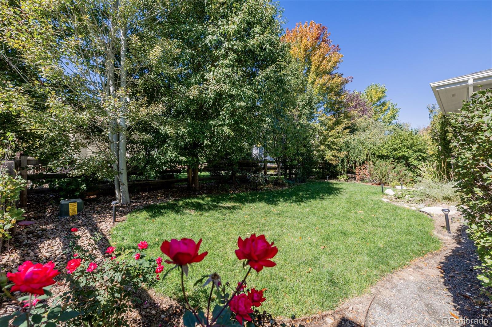 1138 Mircos Street Erie, CO 80516 - Photo 44 of 46