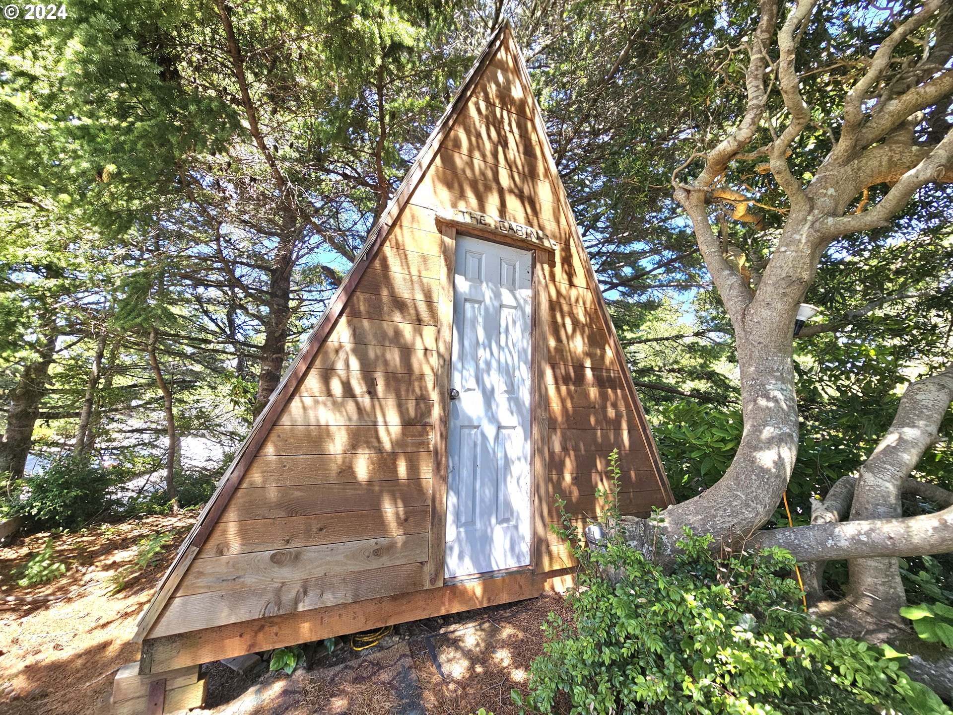 Gallery Image 7