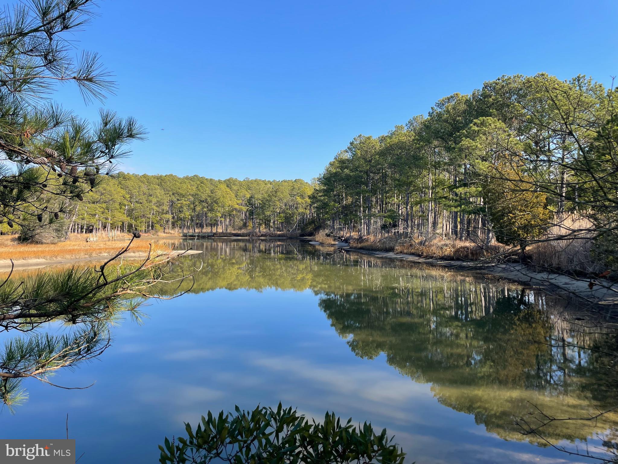 20160 Nanticoke Road Nanticoke, MD 21840 - Photo 12 of 21 a view of a lake with a yard