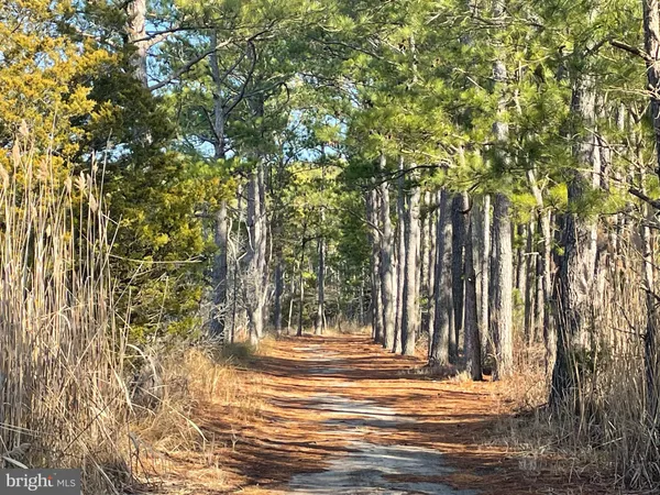 a view of green field with trees in the background