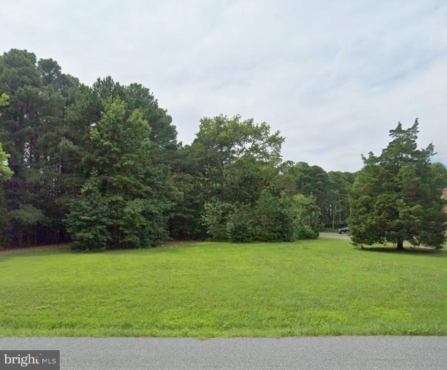 20160 Nanticoke Road Nanticoke, MD 21840 - Photo 17 of 21 a view of green field with trees in the background