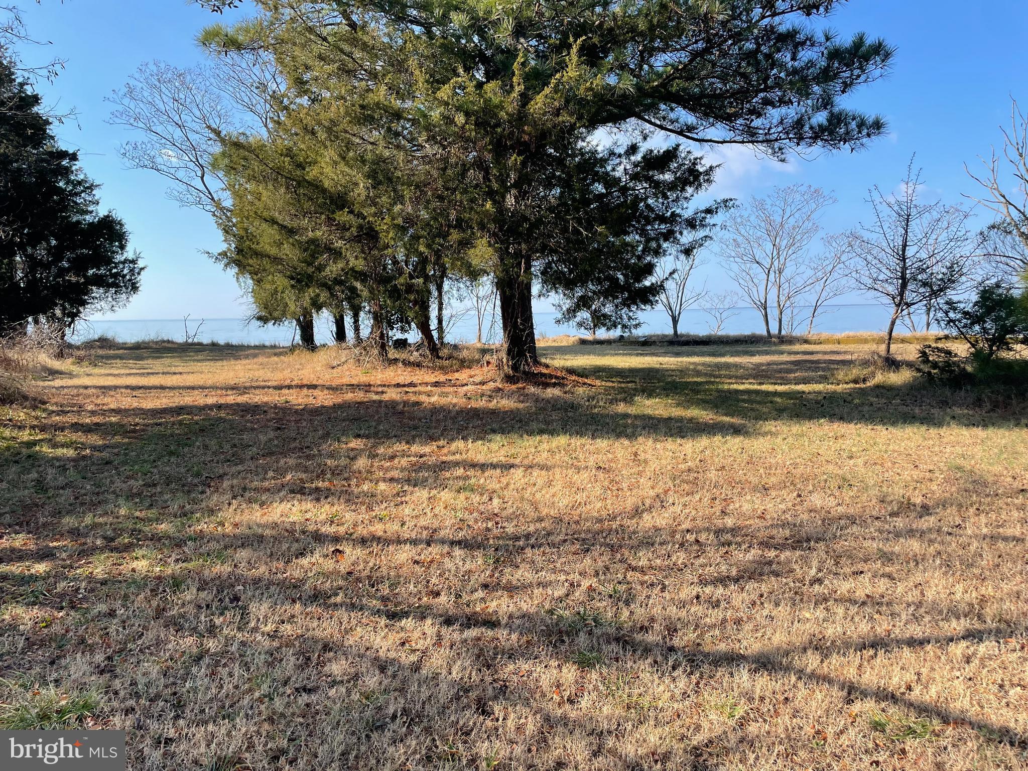 20160 Nanticoke Road Nanticoke, MD 21840 - Photo 8 of 21 a view of a yard with wooden fence