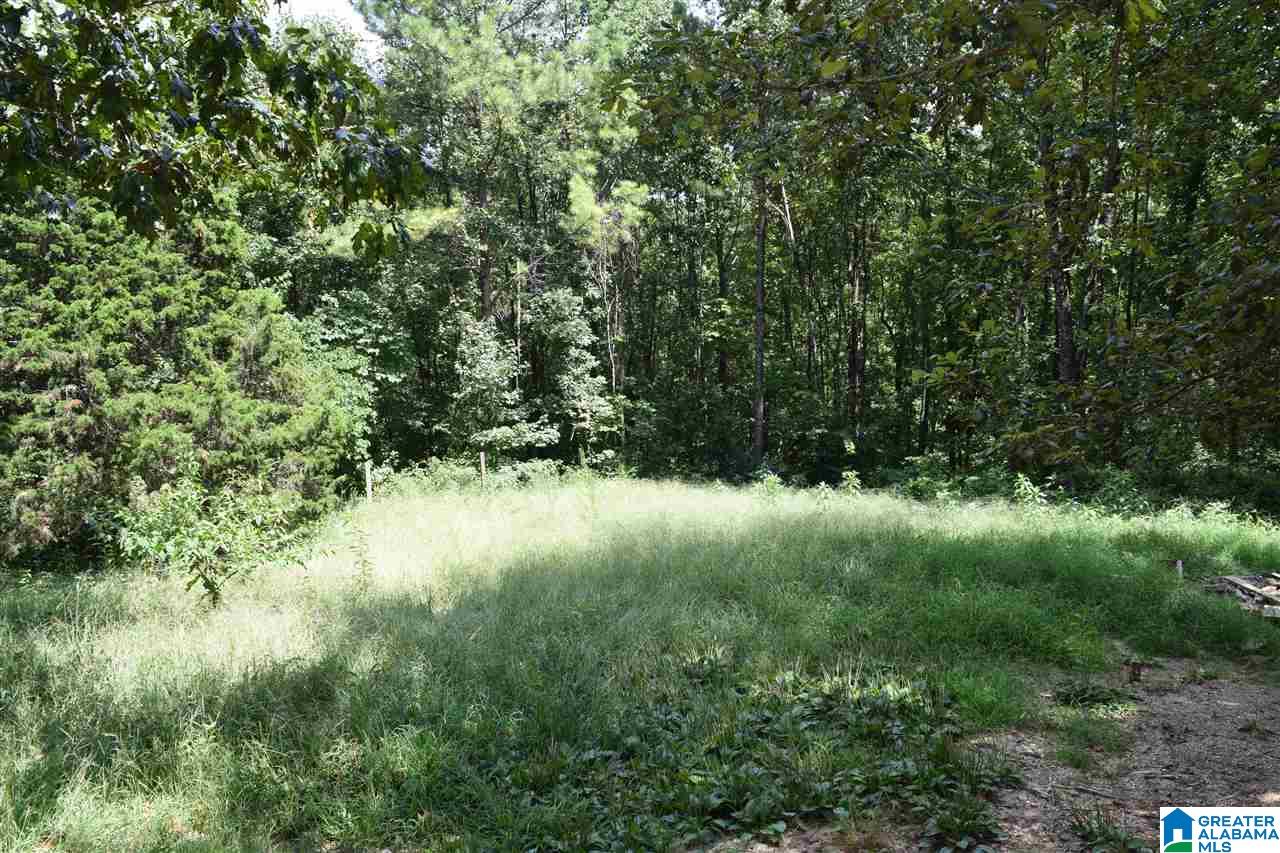 730 Rickwood Cavern Road Warrior, AL 35180 - Photo 10 of 14