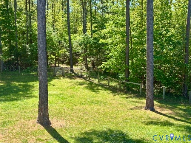 910 Manchester Road Bumpass, VA 23024 - Photo 18 of 24