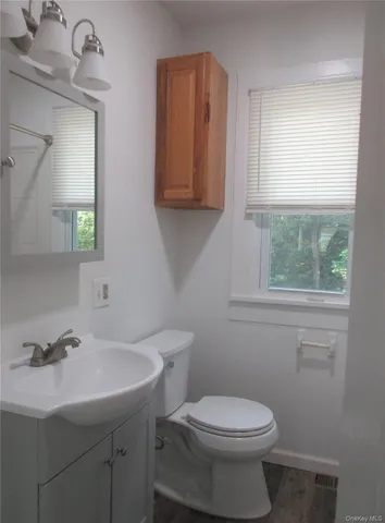 a bathroom with a sink a toilet and a mirror