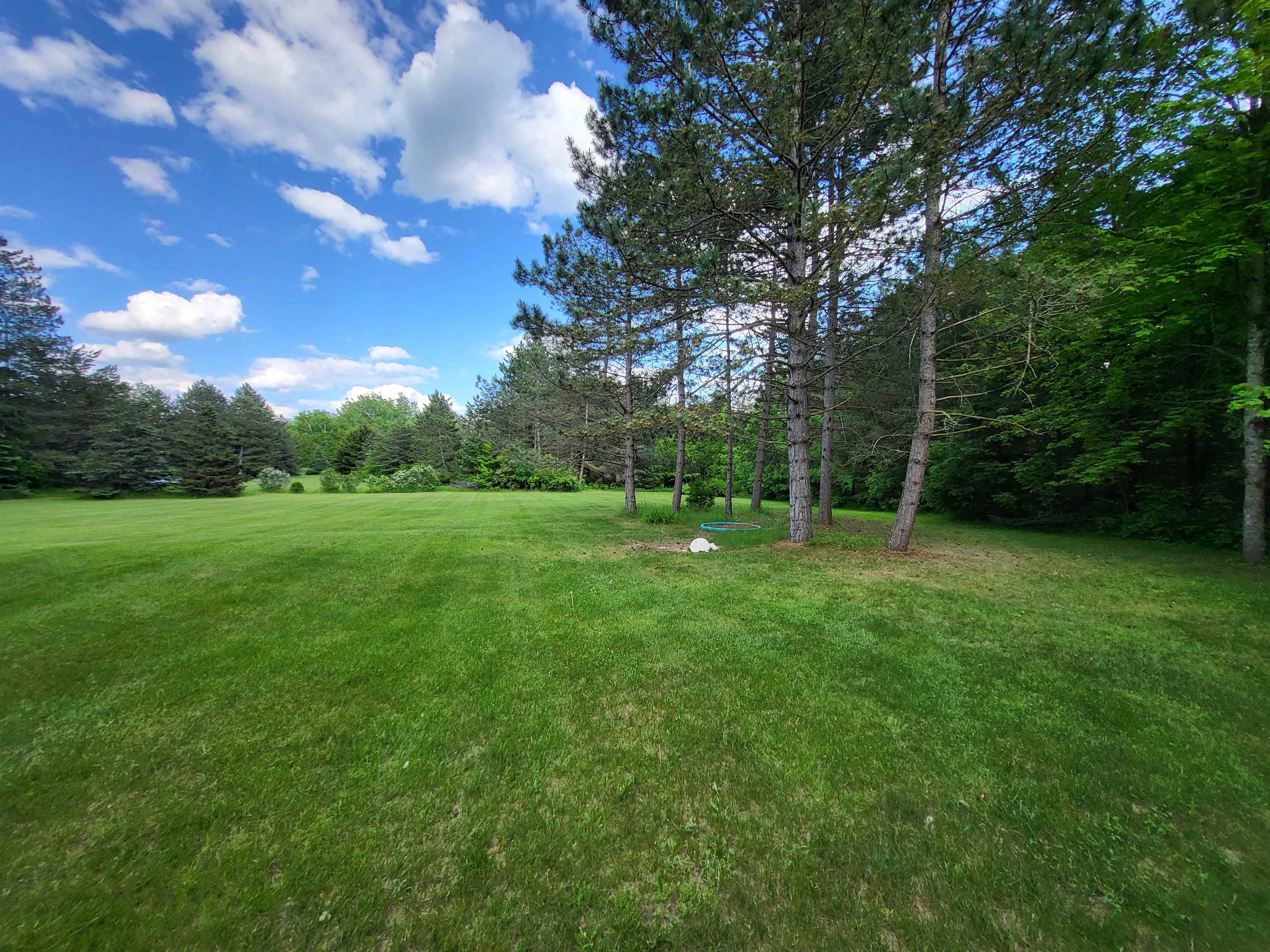 5597 Watson Road Gladwin, MI 48624 - Photo 15 of 47