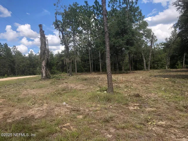 a backyard of a house with lots of green space