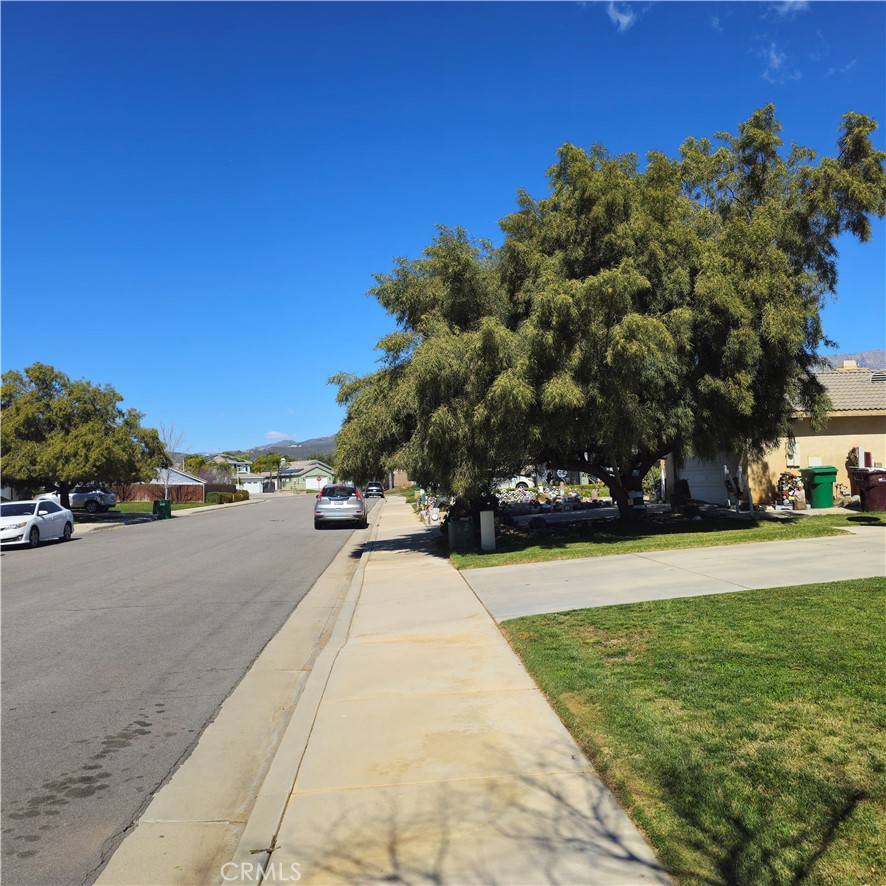 1650 Ravenswood Road Beaumont, CA 92223 - Photo 5 of 42 a view of a swimming pool and trees in the background