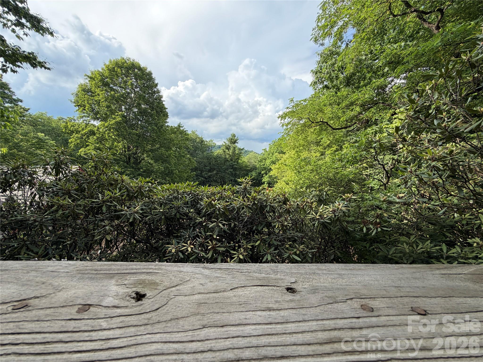 225 High Ridge Road Marion, NC 28752 - Photo 26 of 26
