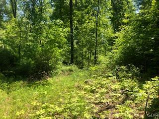 Fels Road Quakertown, PA 18951 - Photo 3 of 7 a view of a lush green forest
