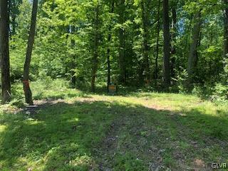 Fels Road Quakertown, PA 18951 - Photo 4 of 7 a view of outdoor space with a garden