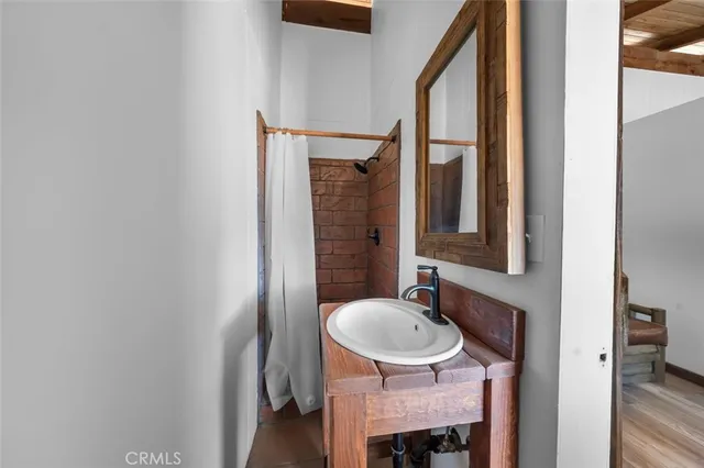 a view of a dry yard