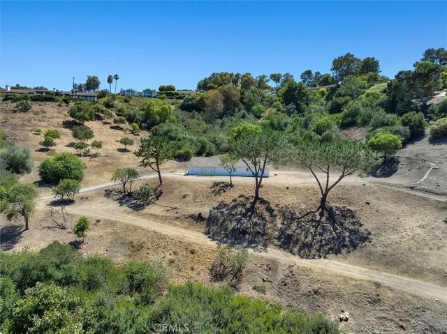 a view of a dry yard with trees