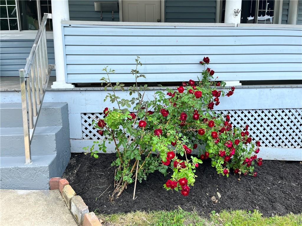 517 North 4th Street Apollo, PA 15613 - Photo 4 of 27 a view of a potted flower in a yard