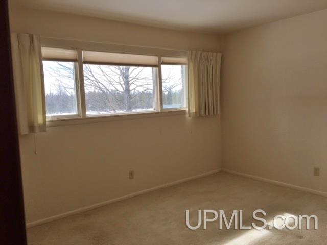3885 Co Road Cornell, MI 49818 - Photo 15 of 29