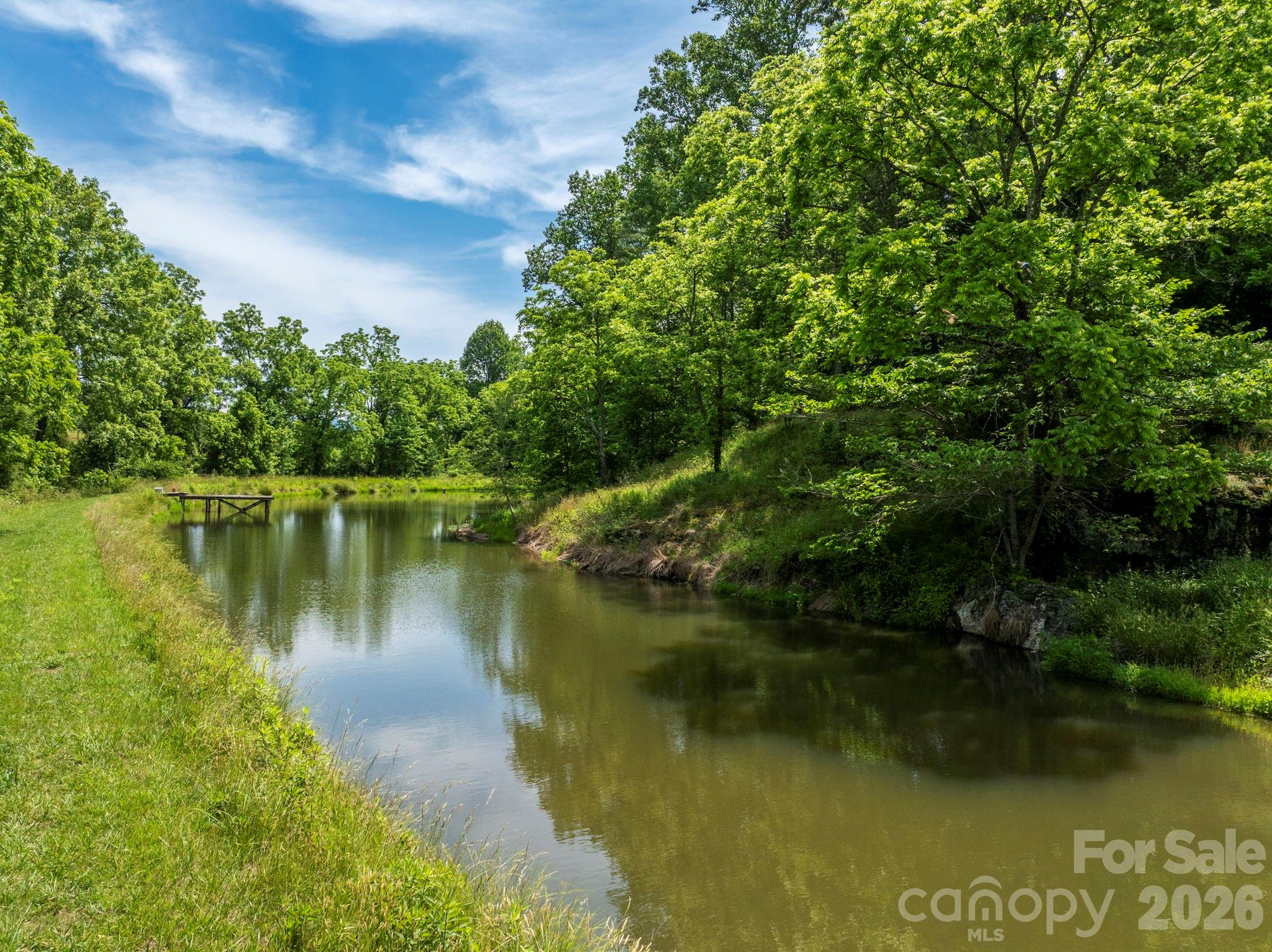 351 Mag Sluder Road Alexander, NC 28701 - Photo 33 of 48