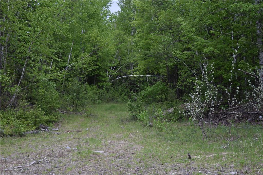 68 Pickle Ridge Road Springfield, ME 04487 - Photo 25 of 32 Maine Wooded Land for Sale in...