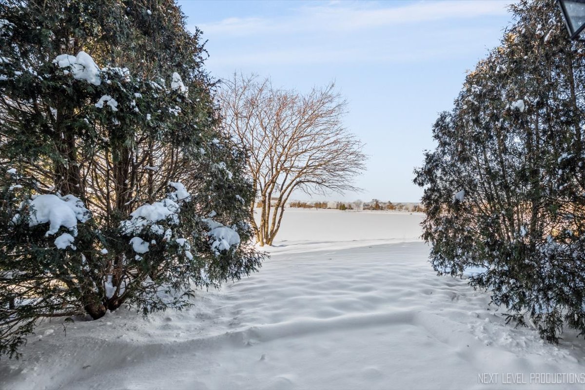 643 Hawley Drive, Unit 643 Oswego, IL 60543 - Photo 26 of 27 a view of dirt yard and a large tree