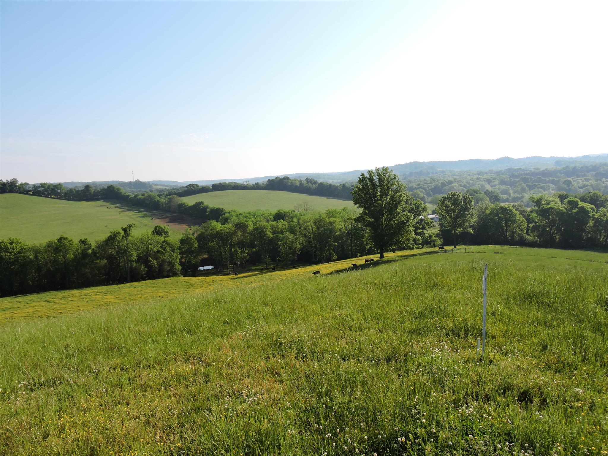 4 Walker Road Beechgrove, TN 37018 - Photo 3 of 7 Gallery Image 3