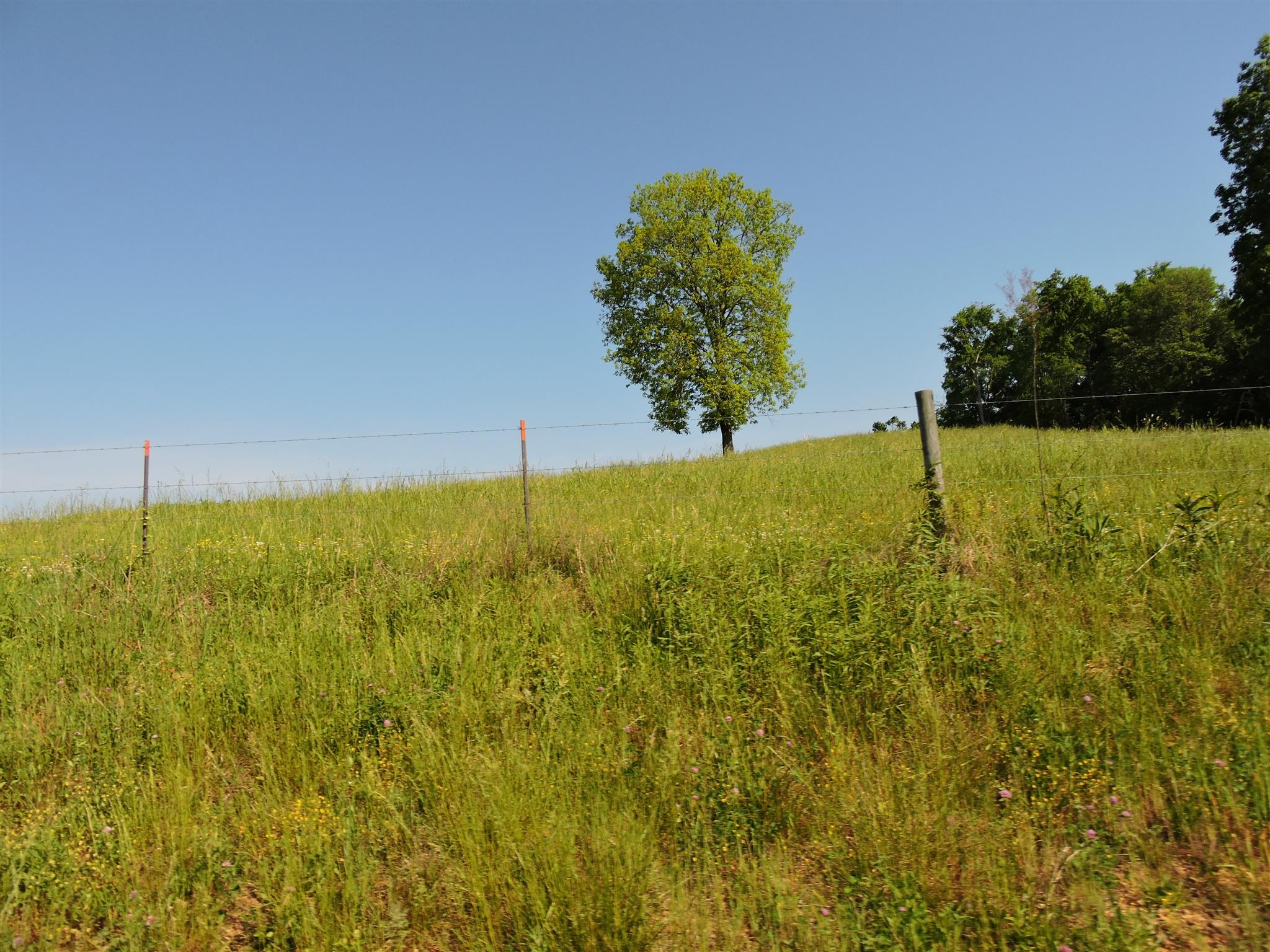 4 Walker Road Beechgrove, TN 37018 - Photo 6 of 7 Gallery Image 6