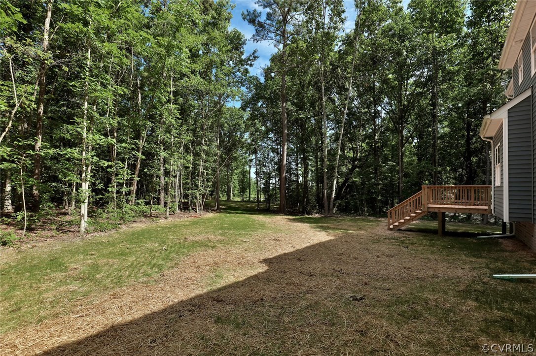 19410 River Road Chesterfield, VA 23838 - Photo 30 of 32 a view of a backyard with trees