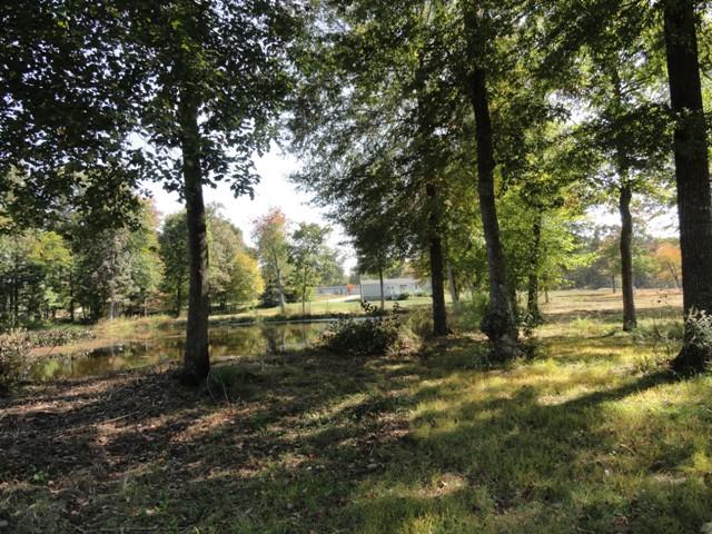 315 Ramsey Green Road Manchester, TN 37355 - Photo 17 of 20 Back of home view.