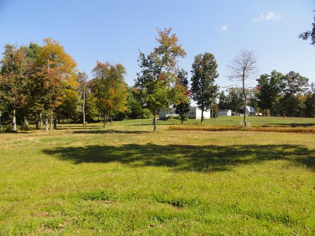 315 Ramsey Green Road Manchester, TN 37355 - Photo 18 of 20 One of many Great views of the land.