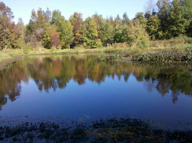 315 Ramsey Green Road Manchester, TN 37355 - Photo 20 of 20 Pond