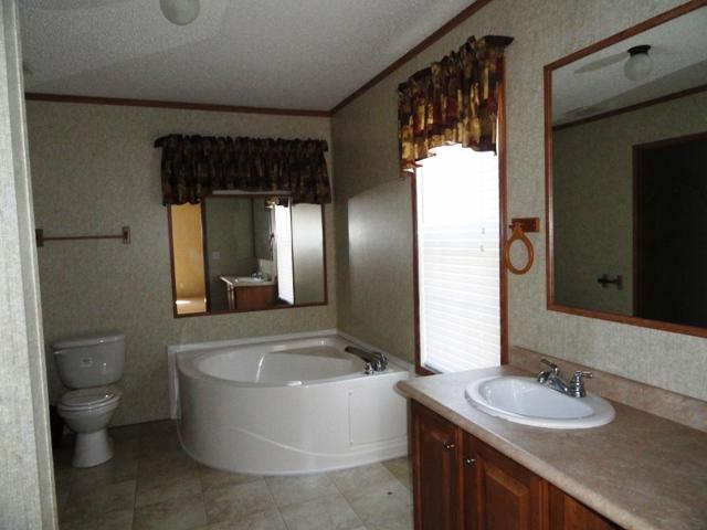 315 Ramsey Green Road Manchester, TN 37355 - Photo 7 of 20 Master Bathroom with garden tub . Bathroom measures 8x5 !