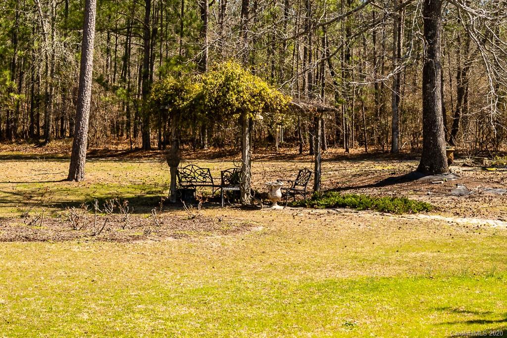 2901 (3 Acres) Screaming Eagle Road Lugoff, SC 29078 - Photo 44 of 48 a view of park with large trees