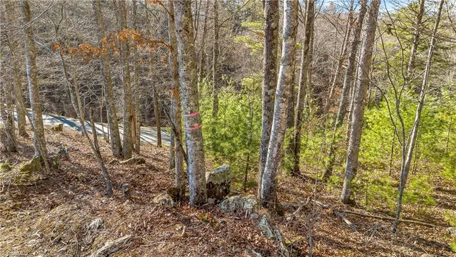 $27,000 | Tbd Tbd River, Laurel Springs, NC 28644