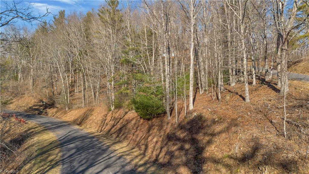 Tbd Tbd River Laurel Springs, NC 28644 - Photo 12 of 26