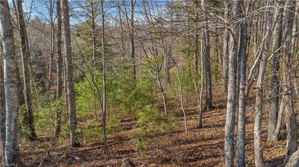 Tbd Tbd River Laurel Springs, NC 28644 - Photo 5 of 26